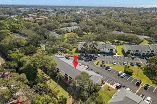 3001 58th Ave S, Saint Petersburg, FL 33712 - Photo 26