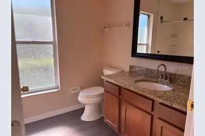 736 Sunflower Drive, Palm Harbor, FL 34683 - Photo 16