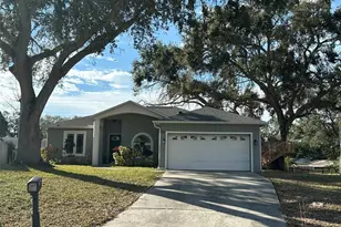231 Morgan Ct, Palm Harbor, FL 34684 - Photo 1