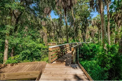 2015 Park Street N, Saint Petersburg, FL 33710 - Photo 38