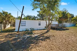 10914 Country Haven Dr, Gibsonton, FL 33534 - Photo 4