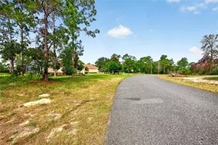 17338 Mediterranean Cir, Weeki Wachee, FL 34614 - Photo 44