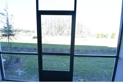 2277 Cerulean Sky Drive, Lutz, FL 33558 - Photo 26