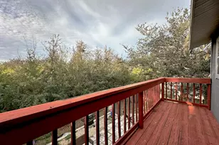 1713 Azalea Ct, Oldsmar, FL 34677 - Photo 12