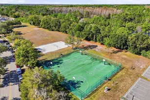 11235 Clayridge Dr, Tampa, FL 33635 - Photo 50