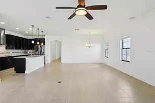 32451 Natural Bridge Rd, Wesley Chapel, FL 33543 - Photo 6