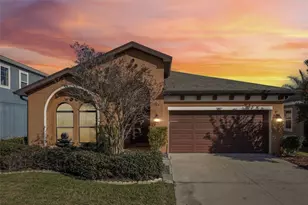 32451 Natural Bridge Rd, Wesley Chapel, FL 33543 - Photo 1