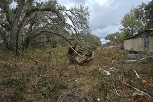 9046 SE 12th St, Webster, FL 33597 - Photo 4