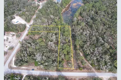 Sharon, Webster, FL 33597 - Photo 2