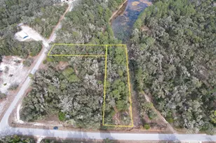 Sharon, Webster, FL 33597 - Photo 2