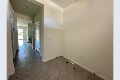 16641 Grotto Steam Place, Wimauma, FL 33598 - Photo 2