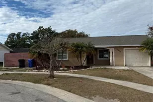 11204 Millridge Dr, Tampa, FL 33625 - Photo 1