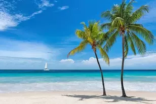 9739 Meadow Field Cir, Tampa, FL 33626 - Photo 46