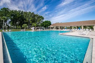 1563 Wicklow Dr, Palm Harbor, FL 34684 - Photo 44