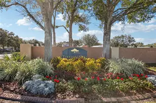 8708 Persea Ct, Trinity, FL 34655 - Photo 28