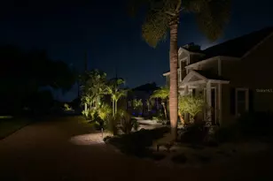 557 Florida Ave, Palm Harbor, FL 34683 - Photo 30