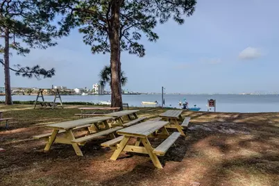 2700 Bayshore Boulevard #2310, Dunedin, FL 34698 - Photo 68