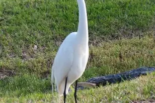 2700 Bayshore Blvd, Dunedin, FL 34698 - Photo 74