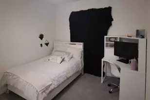 33066 Tulip Petal Ln, Wesley Chapel, FL 33545 - Photo 24