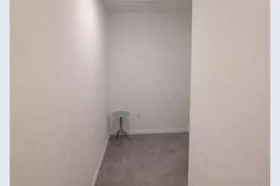 33066 Tulip Petal Lane, Wesley Chapel, FL 33545 - Photo 16