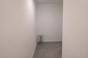 33066 Tulip Petal Ln, Wesley Chapel, FL 33545 - Photo 16