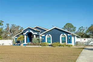 31439 Stirrup Ln, Wesley Chapel, FL 33543 - Photo 1