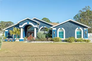31439 Stirrup Ln, Wesley Chapel, FL 33543 - Photo 2