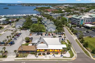 433 S Paula Dr, Dunedin, FL 34698 - Photo 44