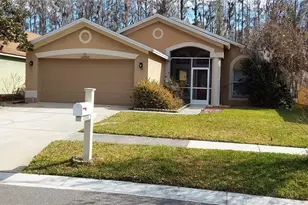 30904 Burleigh Dr, Wesley Chapel, FL 33543 - Photo 1