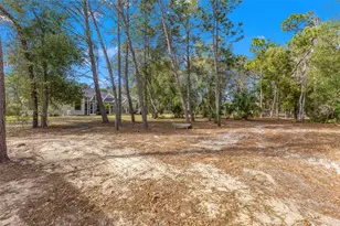 14071 Linden Dr, Spring Hill, FL 34609 - Photo 60