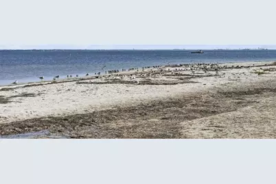 500 Sanibel Court, Tarpon Springs, FL 34689 - Photo 50