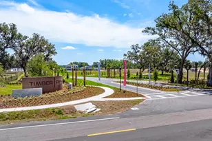 3412 Lumber Fls Dr, Plant City, FL 33565 - Photo 16