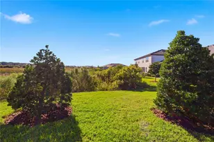 10320 Echo Dock Loop, San Antonio, FL 33576 - Photo 30