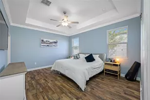 9205 Shadyside Ln, Land O Lakes, FL 34637 - Photo 22