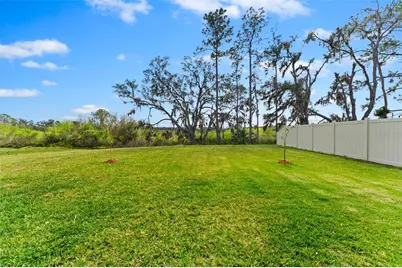 1454 Tahitian Sunrise Drive, Plant City, FL 33565 - Photo 22