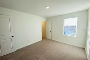 35409 White Water Lily Wy, Zephyrhills, FL 33541 - Photo 10