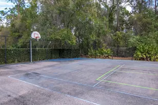 18901 Lakes Edge Way, Odessa, FL 33556 - Photo 46