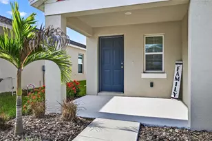 7782 Peace Lily, Wesley Chapel, FL 33545 - Photo 4