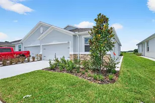 31463 Paper Birch St, Wesley Chapel, FL 33545 - Photo 4