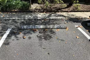 11703 Raintree Village Blvd, Temple Terrace, FL 33617 - Photo 50