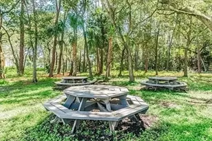 1400 Gandy Blvd N, Saint Petersburg, FL 33702 - Photo 18