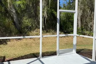 15770 Fishhawk Falls Dr, Lithia, FL 33547 - Photo 12