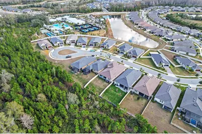 10843 Ibis Brook Court, Land O Lakes, FL 34638 - Photo 6