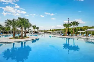 10843 Ibis Brk Ct, Land O Lakes, FL 34638 - Photo 52