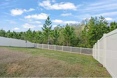 10843 Ibis Brook Court, Land O Lakes, FL 34638 - Photo 46