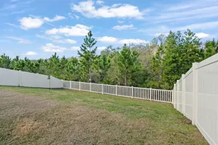 10843 Ibis Brk Ct, Land O Lakes, FL 34638 - Photo 46