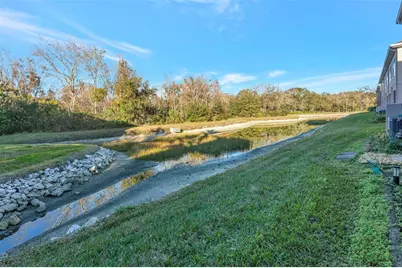 10033 Tranquility Way, Tampa, FL 33625 - Photo 34