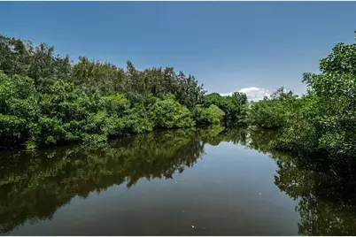 990 San Carlos Court NE, Saint Petersburg, FL 33702 - Photo 66