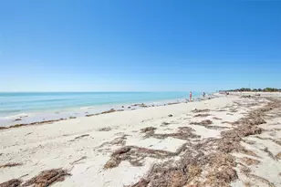 455 Alt 19 S, Palm Harbor, FL 34683 - Photo 64