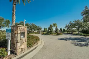 16547 Mosaic Oar Dr, Wimauma, FL 33598 - Photo 54